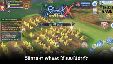 วิธีการหา Wheat ได้แบบไม่จำกัด
