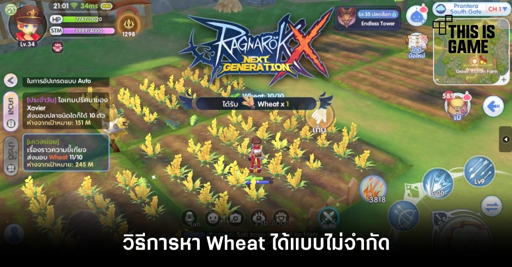 วิธีการหา Wheat ได้แบบไม่จำกัด 1 วิธีการหา Wheat ได้แบบไม่จำกัด