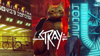 ผู้เล่น Stray โชว์ผลงานการแกะตัวอักษรสุดล้ำ