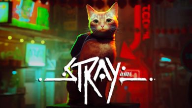 องค์กรพิทักษ์สัตว์ ออกมาชื่นชมว่าแมวใน Stray ทำออกมาได้สมจริงมาก