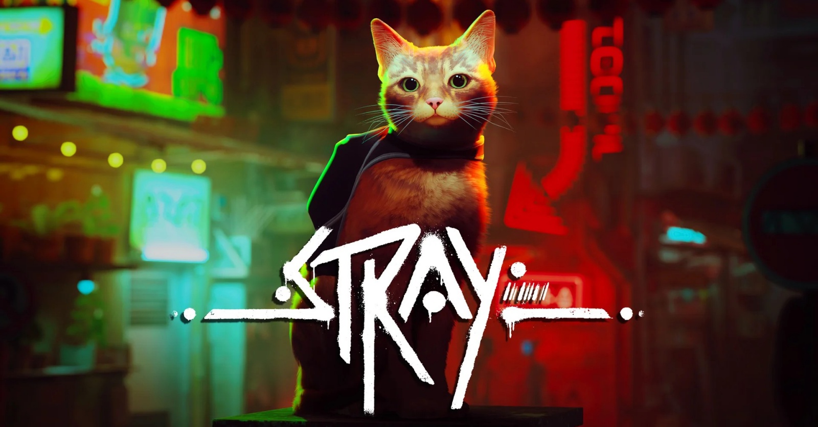 องค์กรพิทักษ์สัตว์ ออกมาชื่นชมว่าแมวใน Stray ทำออกมาได้สมจริงมาก 1 องค์กรพิทักษ์สัตว์ ออกมาชื่นชมว่าแมวใน Stray ทำออกมาได้สมจริงมาก