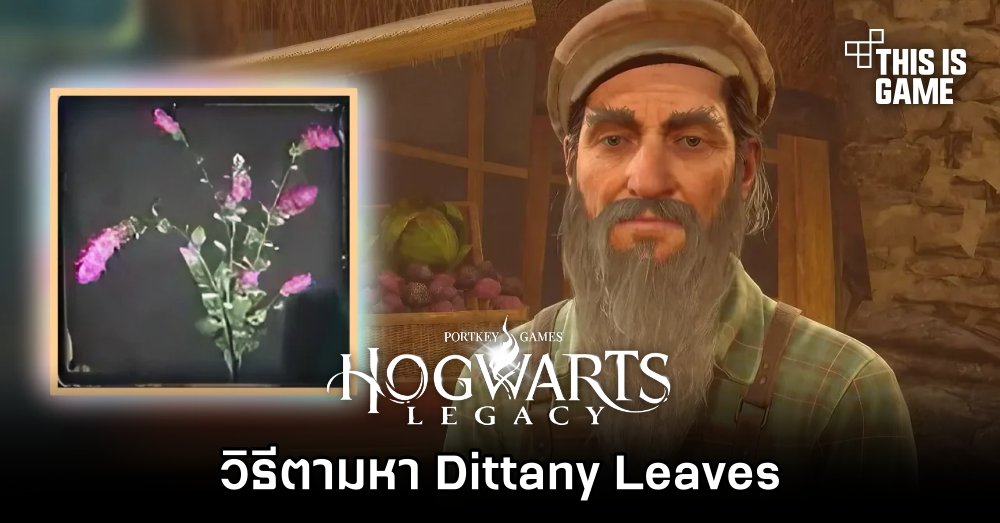 Hogwarts Legacy - วิธีตามหา Dittany Leaves 1 Hogwarts Legacy - วิธีตามหา Dittany Leaves