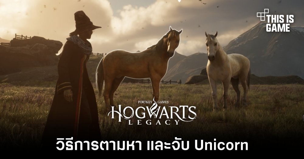 Hogwarts Legacy - วิธีการตามหา และจับ Unicorn 1 Hogwarts Legacy - วิธีการตามหา และจับ Unicorn
