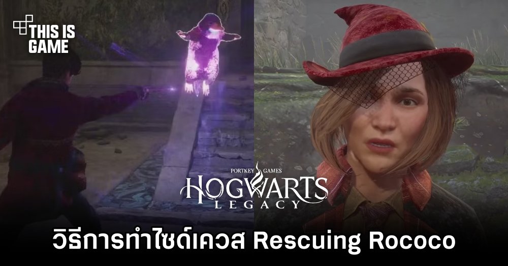 Hogwarts Legacy - วิธีการทำไซด์เควส Rescuing Rococo 1 Hogwarts Legacy - วิธีการทำไซด์เควส Rescuing Rococo