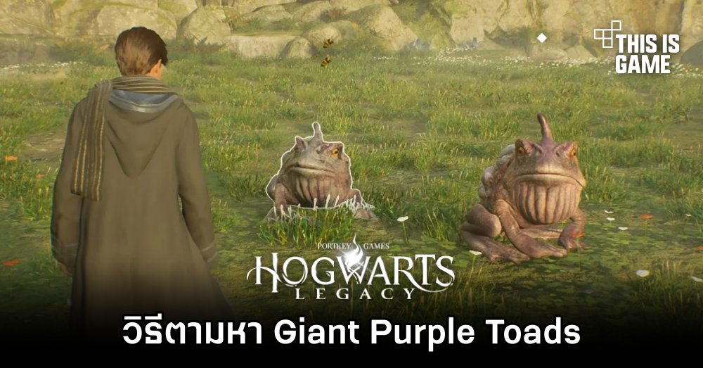 Hogwarts Legacy - วิธีตามหา Giant Purple Toads 1 Hogwarts Legacy - วิธีตามหา Giant Purple Toads