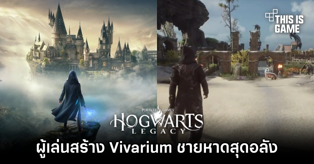 ผู้เล่น Hogwarts Legacy สร้าง Vivarium ชายหาดสุดอลัง 1 ผู้เล่น Hogwarts Legacy สร้าง Vivarium ชายหาดสุดอลัง