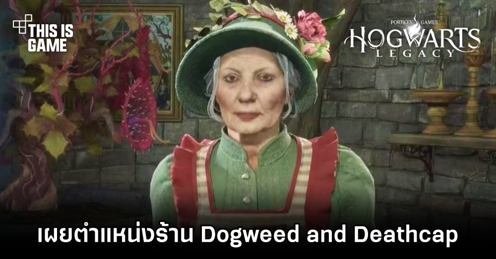 Hogwarts Legacy - เผยตำแหน่งร้าน Dogweed and Deathcap 1 Hogwarts Legacy - เผยตำแหน่งร้าน Dogweed and Deathcap