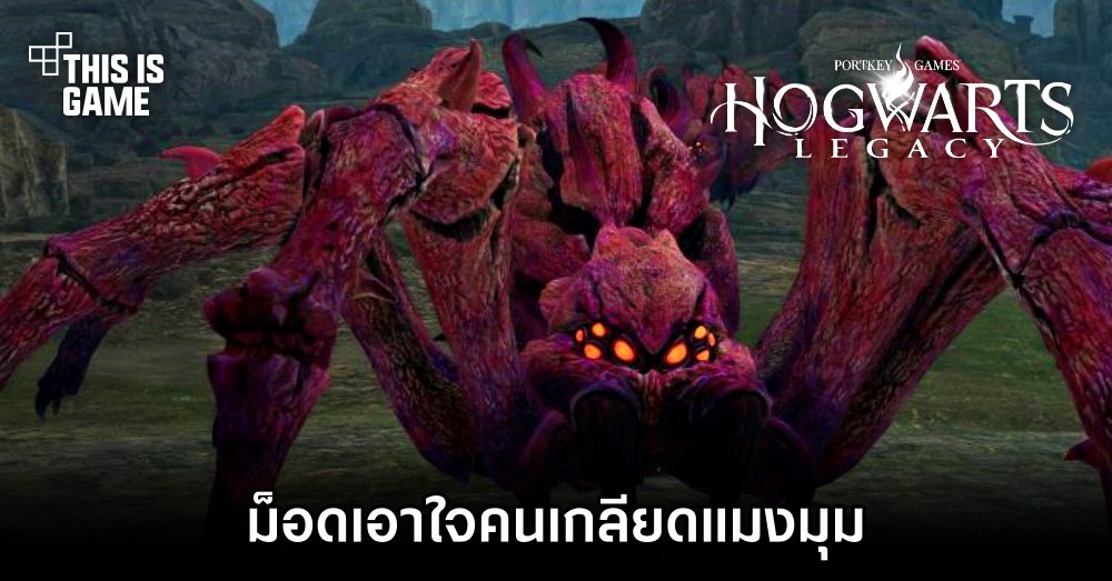 ม็อด Hogwarts Legacy เอาใจคนเกลียดแมงมุม 1 ม็อด Hogwarts Legacy เอาใจคนเกลียดแมงมุม