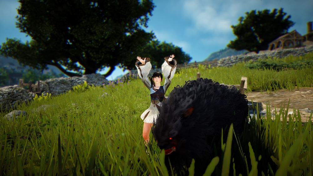 แนะนำอาชีพ Tamer แห่งเกม Black Desert Online 8 แนะนำอาชีพ Tamer แห่งเกม Black Desert Online