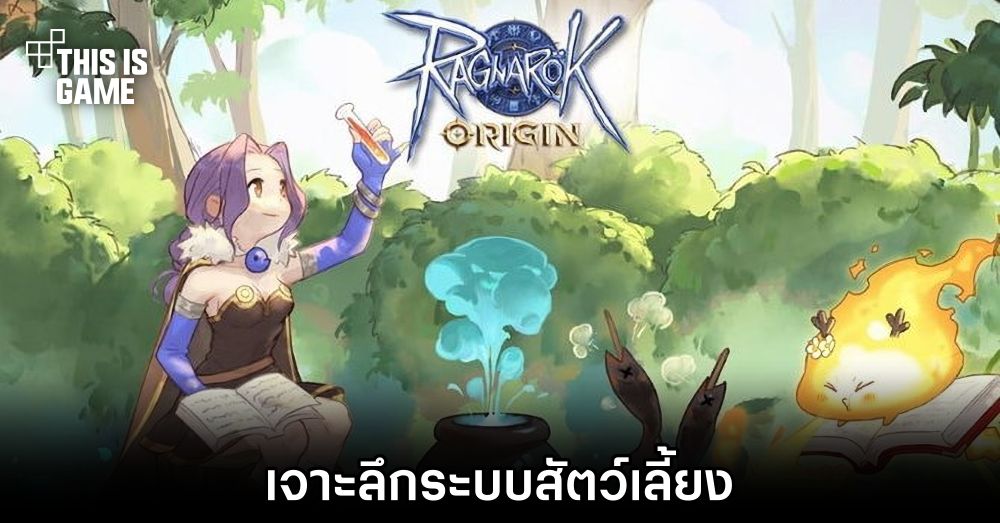 Ragnarok Origin - เจาะลึกระบบสัตว์เลี้ยง