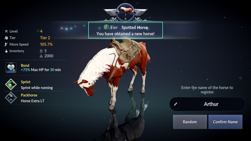 Black Desert Mobile - แนะนำระบบสัตว์ขี่และม้า 11 Black Desert Mobile - แนะนำระบบสัตว์ขี่และม้า
