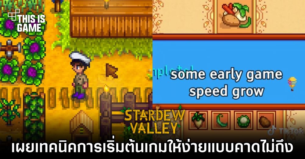 เผยเทคนิคการเริ่มต้นเกม Stardew Valley ให้ง่ายแบบคาดไม่ถึง 1 เผยเทคนิคการเริ่มต้นเกม Stardew Valley ให้ง่ายแบบคาดไม่ถึง