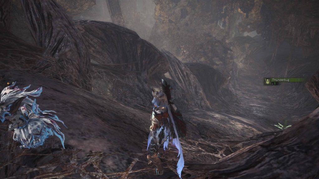 Monster Hunter World: ทำความรู้จัก 'Rotten Vale' และ 'ซากศพ Dalamadur'! 15 Monster Hunter World: ทำความรู้จัก 'Rotten Vale' และ 'ซากศพ Dalamadur'!