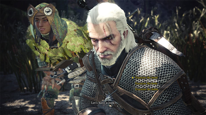 ไกด์แนะนำแบบละเอียดยิบ Monster Hunter World X The Witcher 3 Wild Hunt 9 ไกด์แนะนำแบบละเอียดยิบ Monster Hunter World X The Witcher 3 Wild Hunt