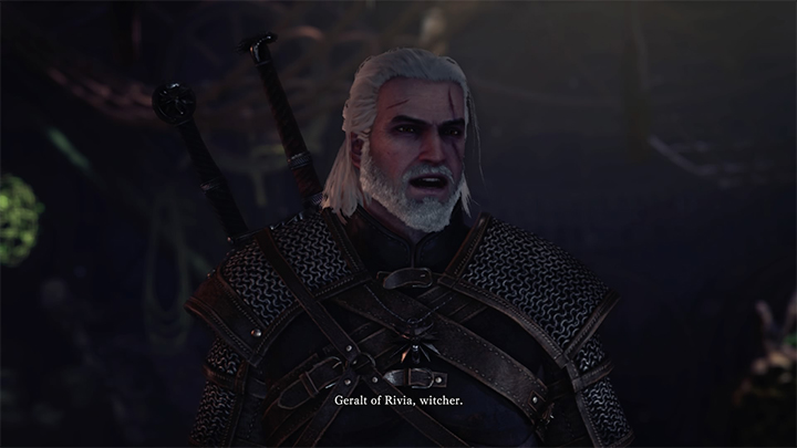 ไกด์แนะนำแบบละเอียดยิบ Monster Hunter World X The Witcher 3 Wild Hunt 6 ไกด์แนะนำแบบละเอียดยิบ Monster Hunter World X The Witcher 3 Wild Hunt