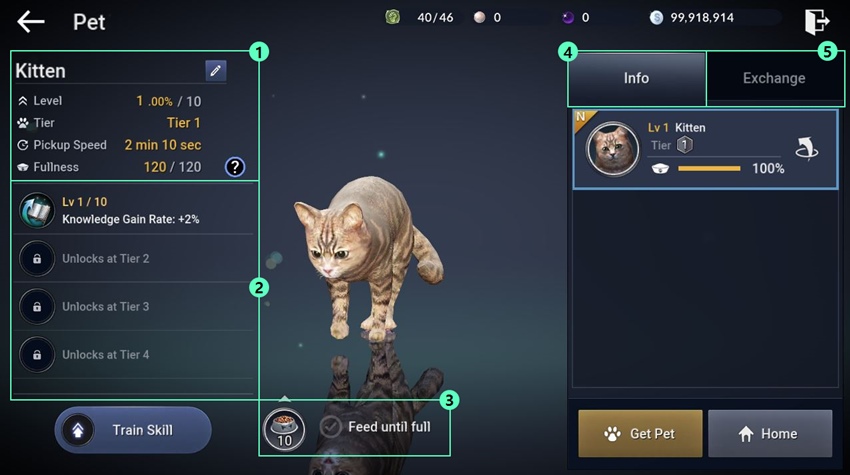 Black Desert Mobile - แนะนำระบบสัตว์ขี่และม้า 5 Black Desert Mobile - แนะนำระบบสัตว์ขี่และม้า