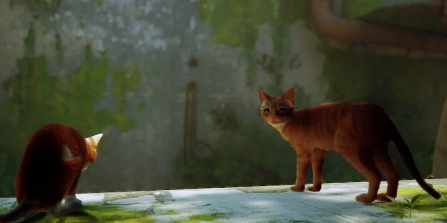 10 เรื่องน่าสนใจในการพัฒนาเกม Stray 2 10 เรื่องน่าสนใจในการพัฒนาเกม Stray