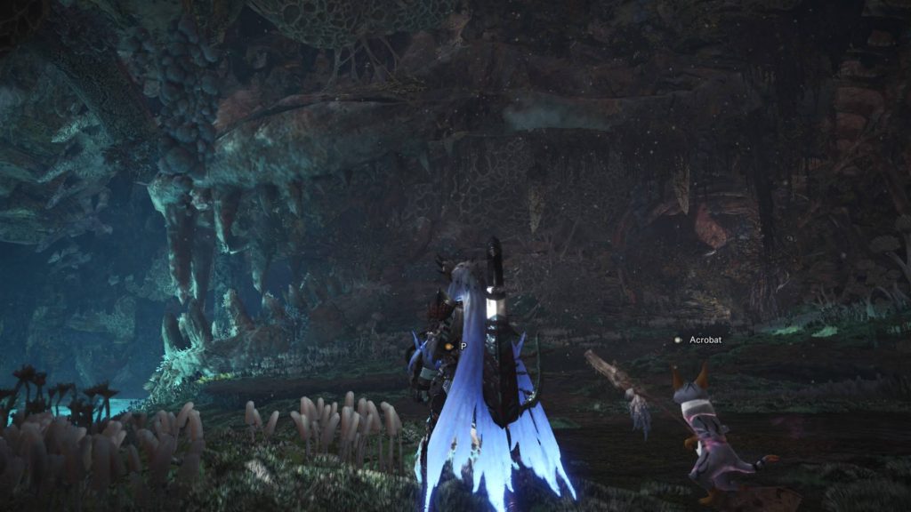 Monster Hunter World: ทำความรู้จัก 'Rotten Vale' และ 'ซากศพ Dalamadur'! 23 Monster Hunter World: ทำความรู้จัก 'Rotten Vale' และ 'ซากศพ Dalamadur'!