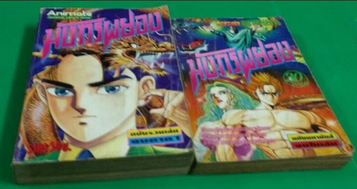 การ์ตูนติดเรทในตำนาน “มังกรซ่อนลาย” 2 การ์ตูนติดเรทในตำนาน “มังกรซ่อนลาย”