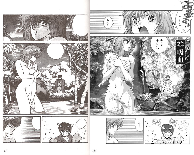 การ์ตูนติดเรทในตำนาน Bastard!! อสูรร้ายจอมราชันย์ 12 การ์ตูนติดเรทในตำนาน Bastard!! อสูรร้ายจอมราชันย์