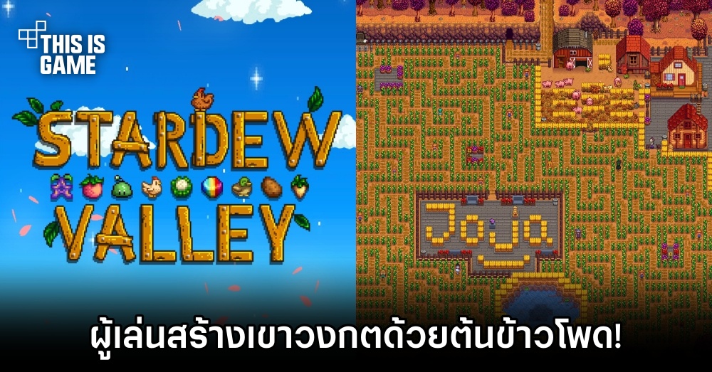 ผู้เล่น Stardew Valley สร้างเขาวงกตด้วยต้นข้าวโพด!
