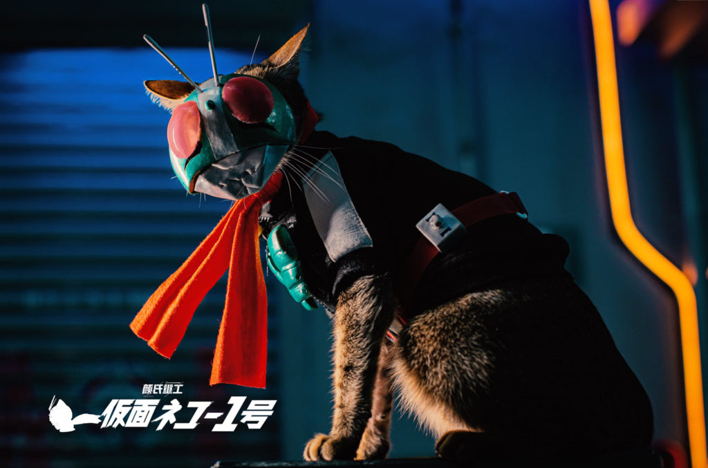 ผลงานคอสเพลย์สุดน่ารัก Shin KaMeow Rider