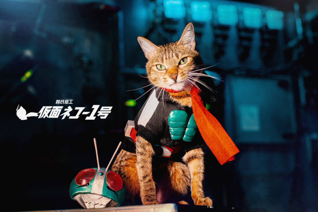 ผลงานคอสเพลย์สุดน่ารัก Shin KaMeow Rider