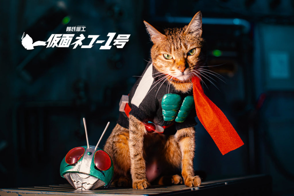 ผลงานคอสเพลย์สุดน่ารัก Shin KaMeow Rider