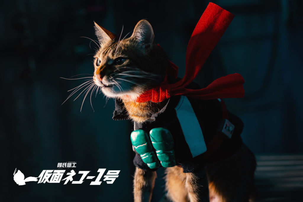 ผลงานคอสเพลย์สุดน่ารัก Shin KaMeow Rider