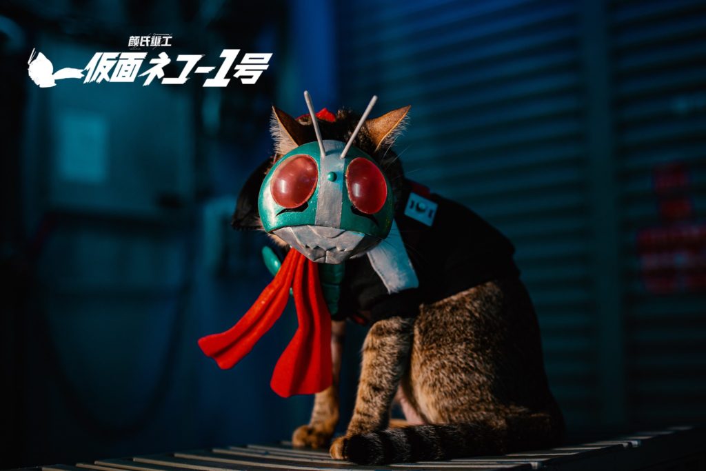 ผลงานคอสเพลย์สุดน่ารัก Shin KaMeow Rider
