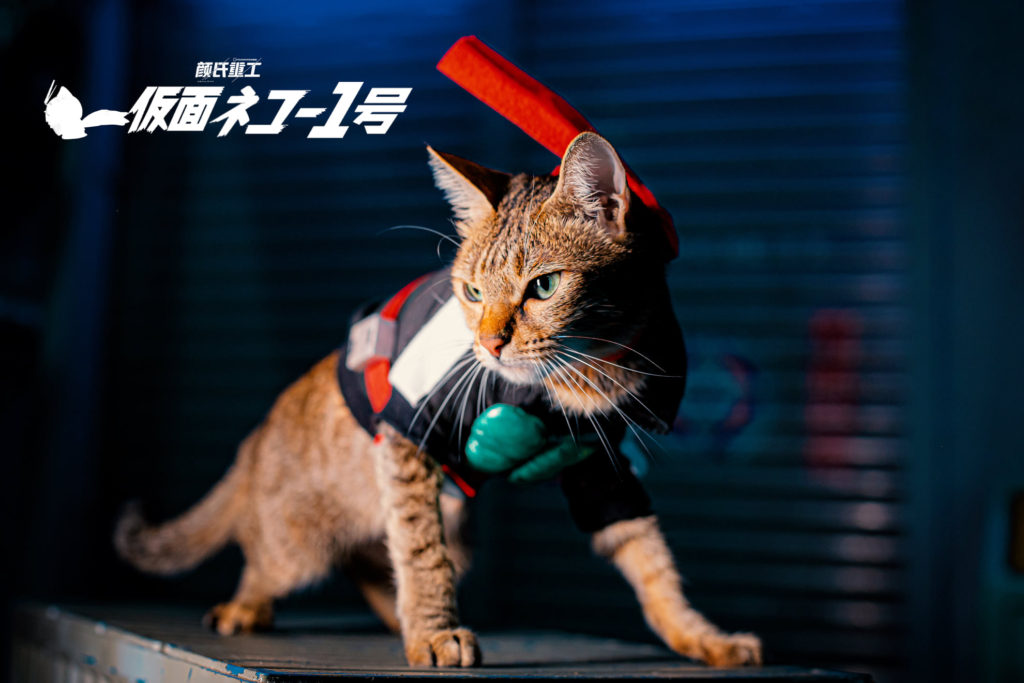 ผลงานคอสเพลย์สุดน่ารัก Shin KaMeow Rider