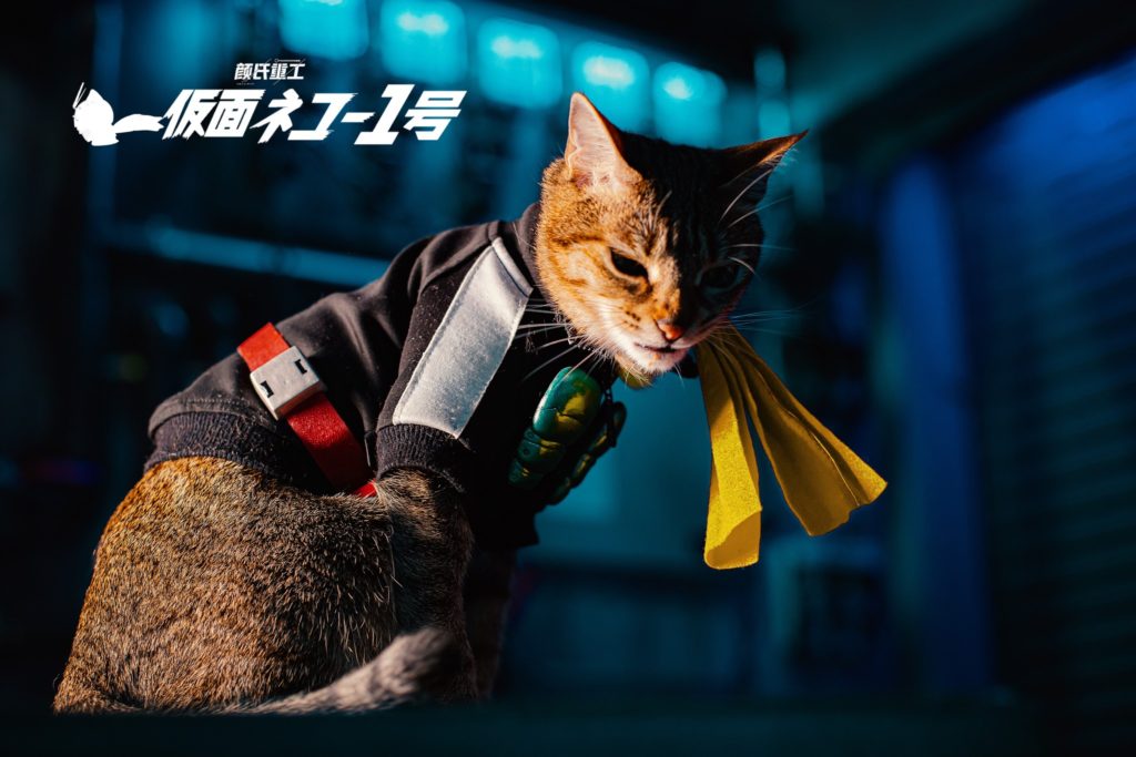 ผลงานคอสเพลย์สุดน่ารัก Shin KaMeow Rider