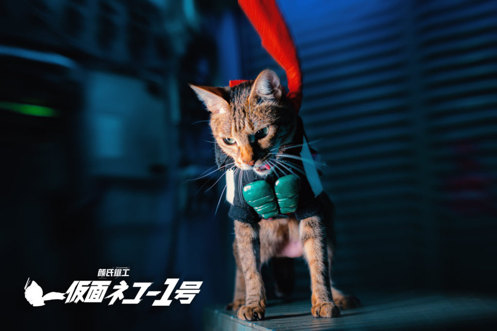 ผลงานคอสเพลย์สุดน่ารัก Shin KaMeow Rider