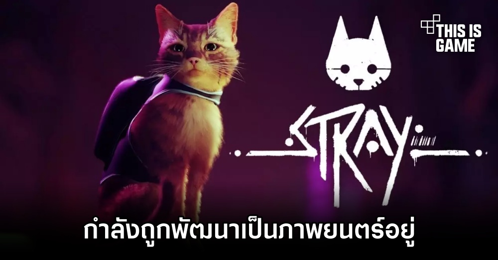 STRAY เวอร์ชั่นภาพยนตร์อนิเมชั่นกำลังพัฒนาอยู่ 1 STRAY เวอร์ชั่นภาพยนตร์อนิเมชั่นกำลังพัฒนาอยู่