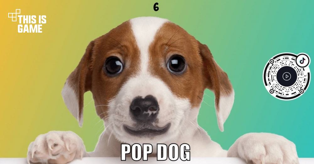 ไปต่อไม่รอแล้วนะ! Pop Dog เกมน้องหมาสายคลิกก็มี 1 ไปต่อไม่รอแล้วนะ! Pop Dog เกมน้องหมาสายคลิกก็มี