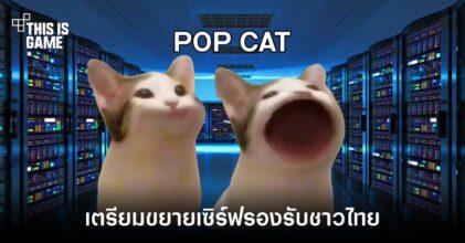 ผู้สร้าง Pop Cat ยืนยันจะขยายเซิร์ฟเพื่อรองรับชาวไทย