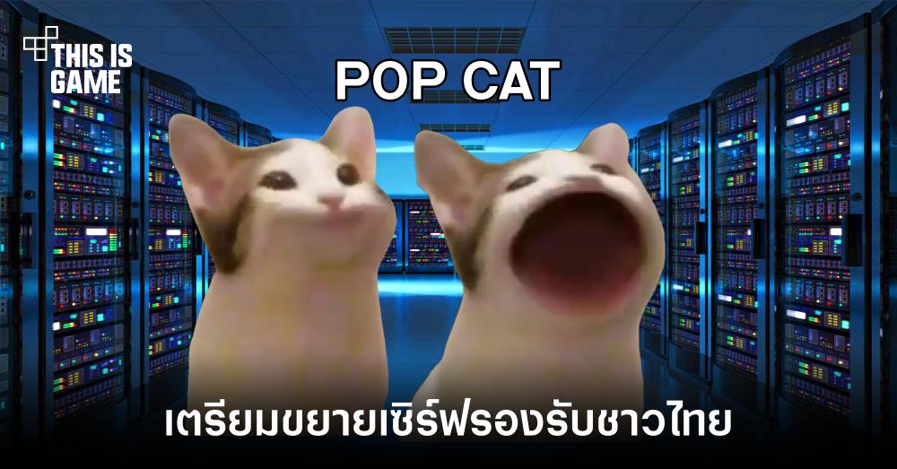 ผู้สร้าง Pop Cat ยืนยันจะขยายเซิร์ฟเพื่อรองรับชาวไทย 1 ผู้สร้าง Pop Cat ยืนยันจะขยายเซิร์ฟเพื่อรองรับชาวไทย