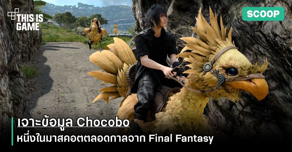 เจาะข้อมูล Chocobo หนึ่งในมาสคอตตลอดกาลจาก Final Fantasy 1 เจาะข้อมูล Chocobo หนึ่งในมาสคอตตลอดกาลจาก Final Fantasy