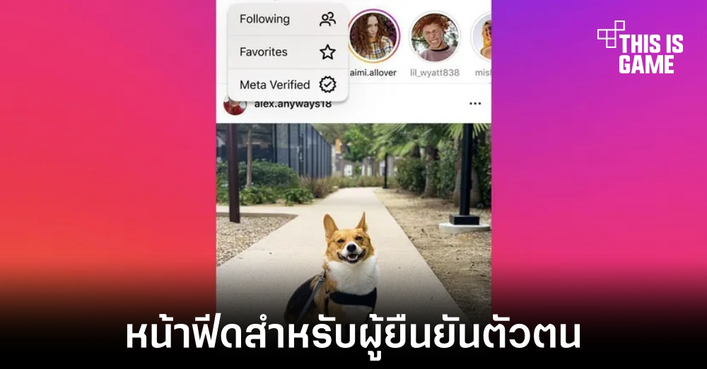 Meta เพิ่มหน้าฟีดเฉพาะสำหรับผู้ยืนยันตัวตนใน Instagram 1 Meta เพิ่มหน้าฟีดเฉพาะสำหรับผู้ยืนยันตัวตนใน Instagram