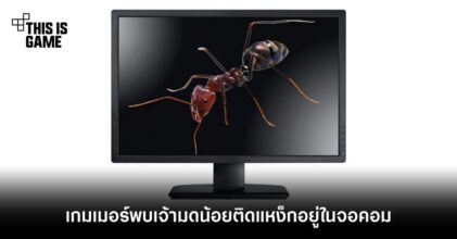เกมเมอร์พบเจ้ามดน้อยติดแหง็กอยู่ในจอคอม
