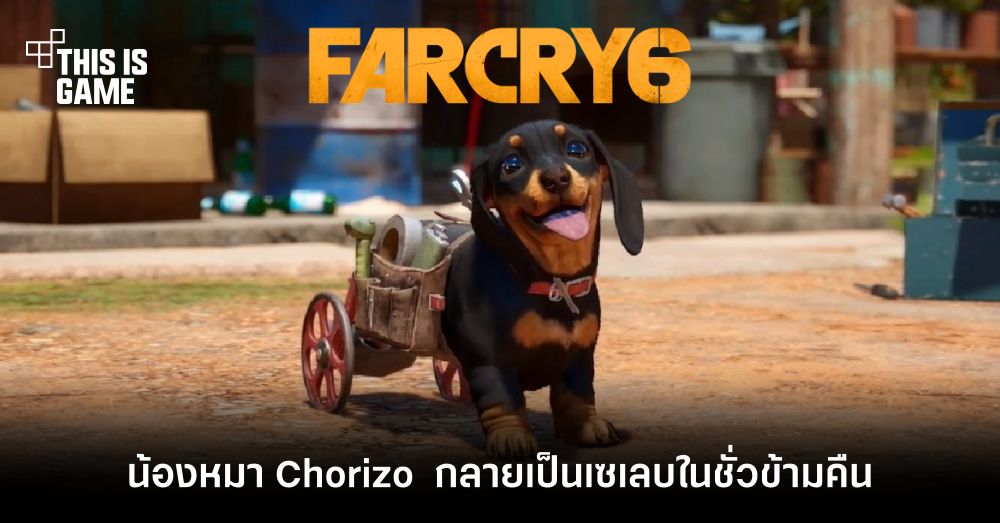 น้องหมา Chorizo ใน Far Cry 6 กลายเป็นเซเลบในชั่วข้ามคืน 1 น้องหมา Chorizo ใน Far Cry 6 กลายเป็นเซเลบในชั่วข้ามคืน