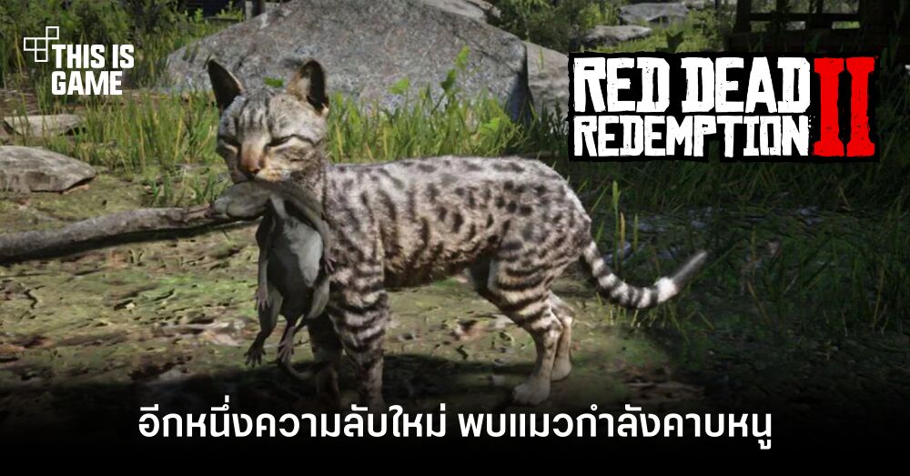 แบบนี้ก็มีด้วย? ผู้เล่นพบแมวกำลังคาบหนูใน Red Dead Redemption 2 1 แบบนี้ก็มีด้วย? ผู้เล่นพบแมวกำลังคาบหนูใน Red Dead Redemption 2