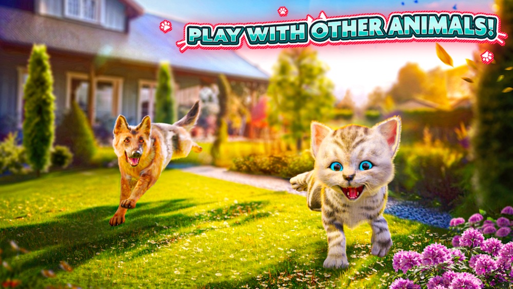Cat Simulator 2 เปิดให้บริการทั้ง iOS/Android บนสโตร์ไทยแล้ว