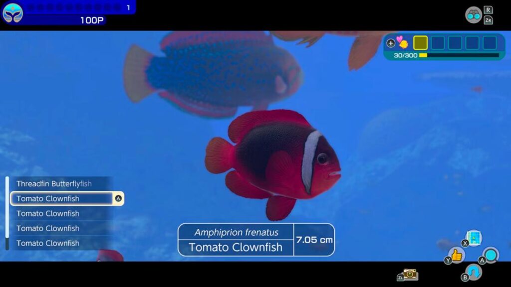 Endless Ocean Luminous เกมจำลองการดำน้ำภาคใหม่บน Switch 4 Endless Ocean Luminous