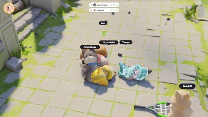 6 สิ่งที่อย่าไว้ใจเพื่อนของคุณใน Party Animals 2 6 สิ่งที่อย่าไว้ใจเพื่อนของคุณใน Party Animals