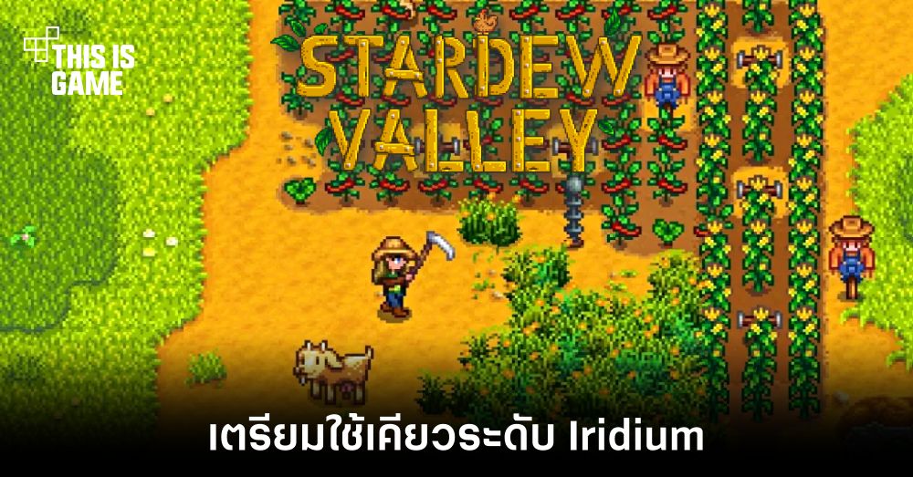 โพสต์เดียวสะเทือนวงการ! ผู้เล่น Stardew Valley เตรียมใช้เคียวระดับ Iridium 1 โพสต์เดียวสะเทือนวงการ! ผู้เล่น Stardew Valley เตรียมใช้เคียวระดับ Iridium