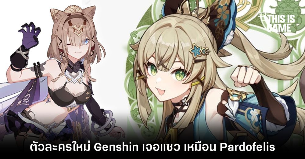 ผู้เล่น Honkai แซวตัวละครใหม่ Genshin เหมือน Pardofelis 1 ผู้เล่น Honkai แซวตัวละครใหม่ Genshin เหมือน Pardofelis