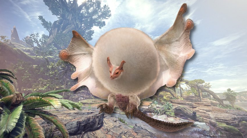 7 ชุดสุดแจ่มควรใช้ใน Monster Hunter Now 4 7 ชุดสุดแจ่มควรใช้ใน Monster Hunter Now