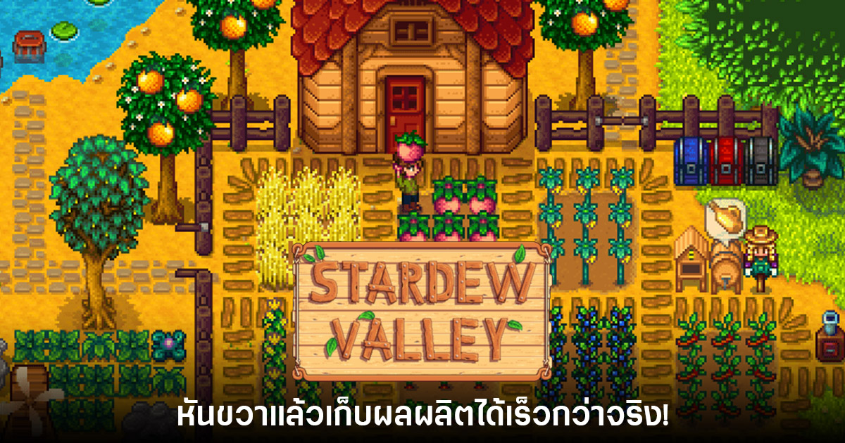ผู้สร้าง Stardew Valley ยอมรับ 'การหันขวาเก็บผัก' จะดูเร็วขึ้นจริง 1 Stardew Valley