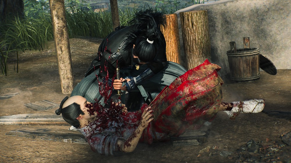 Review Rise of the Ronin